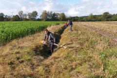 Arbeitseinsatz_Platz_2020_30